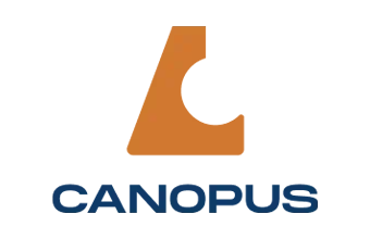 madeira para construção