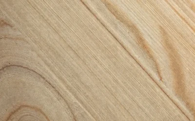 Como o pinus pode deixar sua obra mais econômica e sustentável?