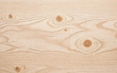 O que é madeira de pinus e onde ela pode ser usada?