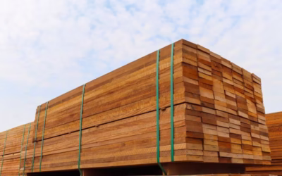 Sustentabilidade na construção: como escolher madeiras legais e certificadas
