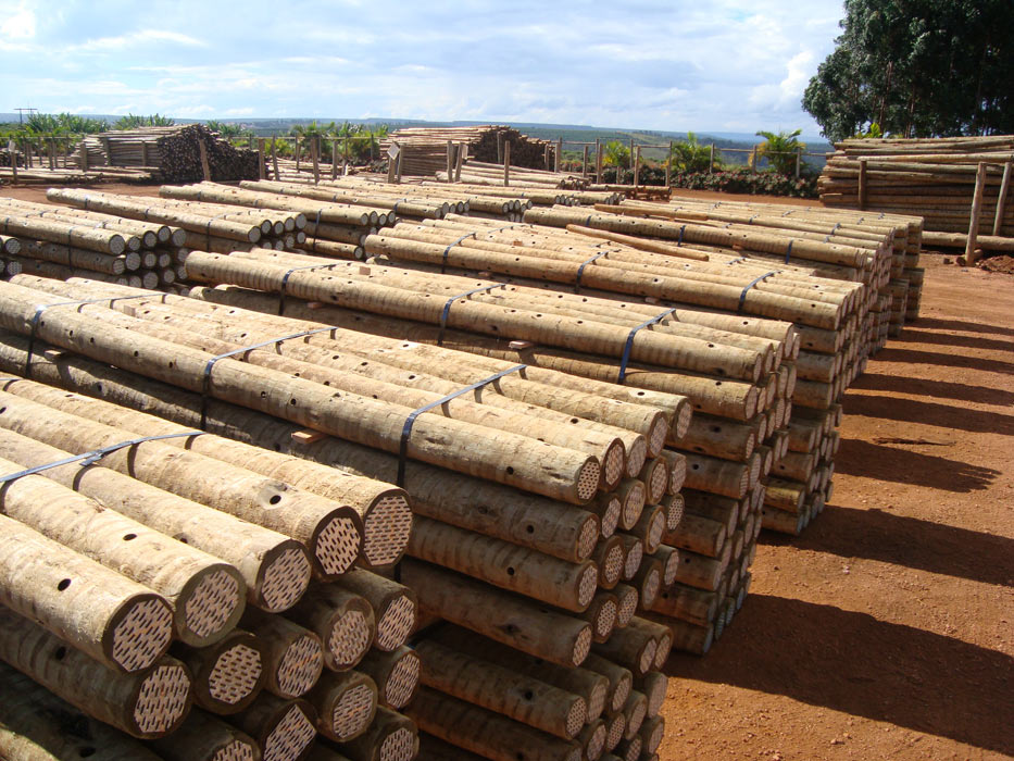 madeira para construção